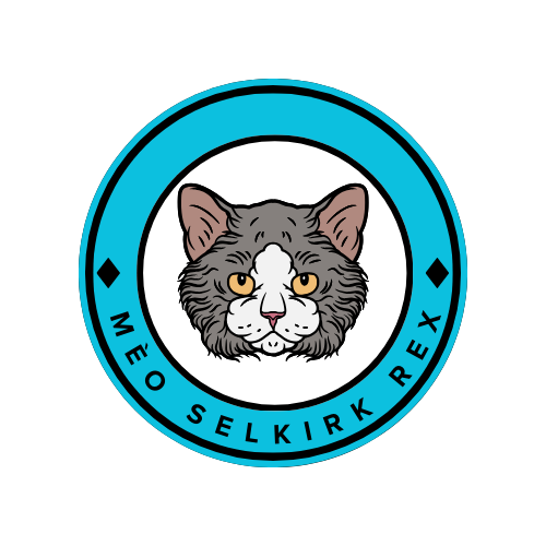 Mèo Selkirk Rex